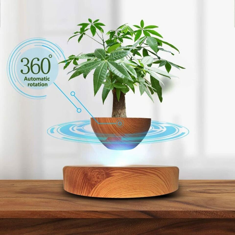 floating succulent pot Gominimo Magnetic Levitating Floating Small Succulent Plant Pot Home D
